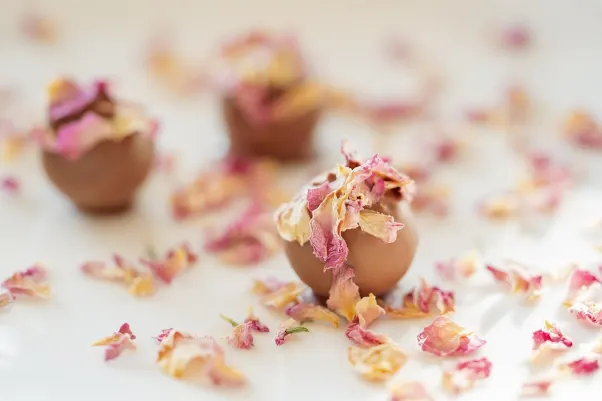 Cresus Casino Android/iOS aplikacija